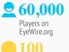 EyeWire Player Stats