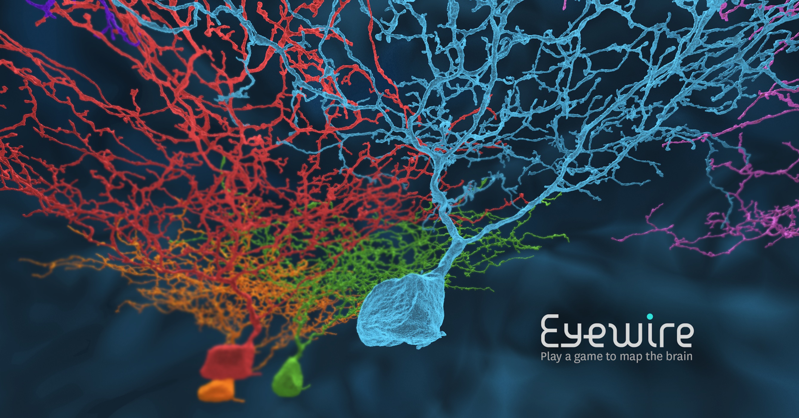 eyewire, game to map the brain, neuroscience, gaming, citizen science, neurons, neuroscience, brain
