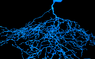 J Cell Crop for Blog