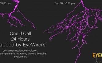 J Day Recap EyeWire J Day Recap EyeWire