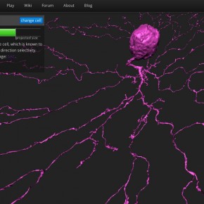 EyeWire Starburst Cell almost complete