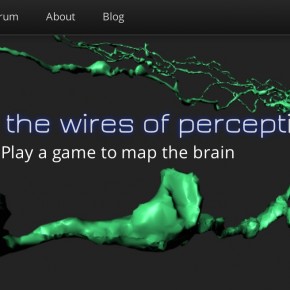 Trace the Wires of Perception Trace the Wires of Perception