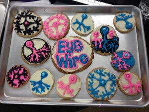 neuron cookies neuron cookies, awesome cookies, geeky, neurons, EyeWire, science, cooking, cute