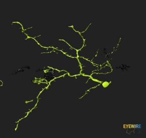 eyewire naming neuron