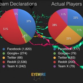 EyeWire Declarations vs Actual Players
