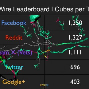 EyeWire Leaderboard 2.16