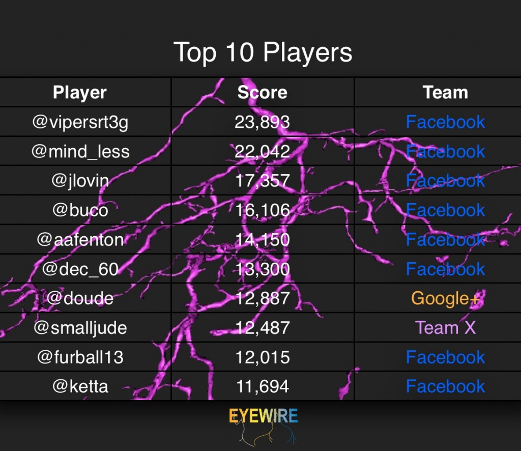 EyeWire leaderboard 2.19