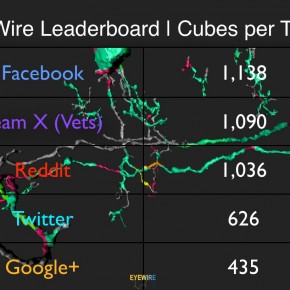 Leaderboard EyeWIre 2.17
