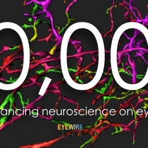 40000 players on EyeWire
