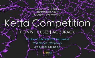 Ketta Competition EyeWire