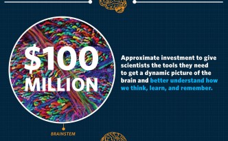 whitehouse obama brain initiative infographic