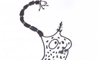 ganglion-style eyewire ganglion-style eyewire