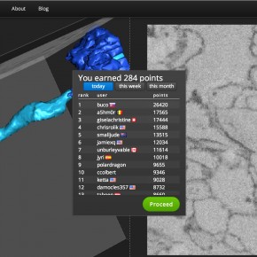 scoring points in eyewire