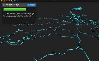 eyewire screenshot