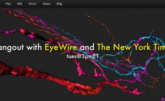 eyewire hangout with the new york times