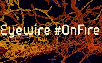 EyeWire OnFire, OnFire, EyeWire, citizen science, science design, neuroscience, neurons, crowd source,
