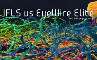 IFLS vs EyeWire Elite, EyeWire, competition, IFLS