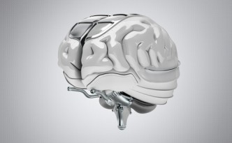concept brain art