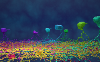 amazing ganglions, neurons, eyewire, 3D neurons, citizen science, neuroscience, Seung Lab, MIT, Alex Norton, Amy Robinson