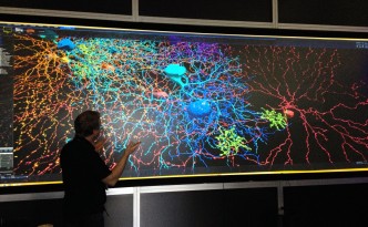 Exploring Neurons with KINECT