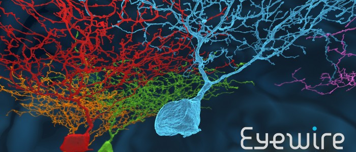 EyeWire-Desktop-Background-Ganglion-Style