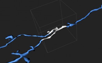 cube in eyewire