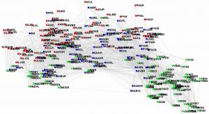 C Elegans Connectome