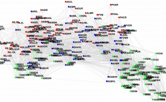 c_elegans_connectome