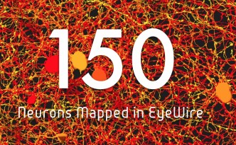 eyewire neurons 150
