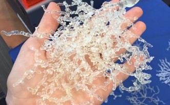eyewire 3d printed neuron