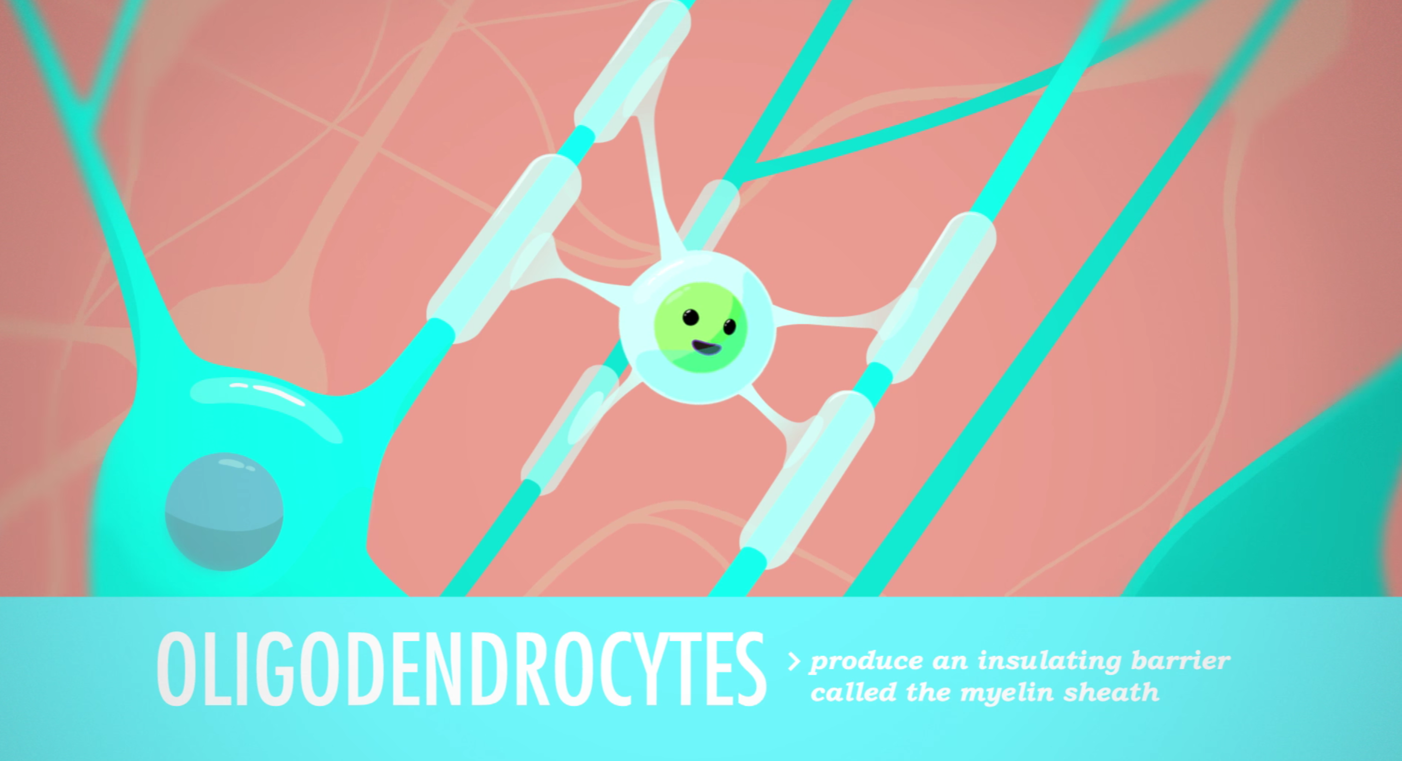 The Nervous System: Crash Course 1