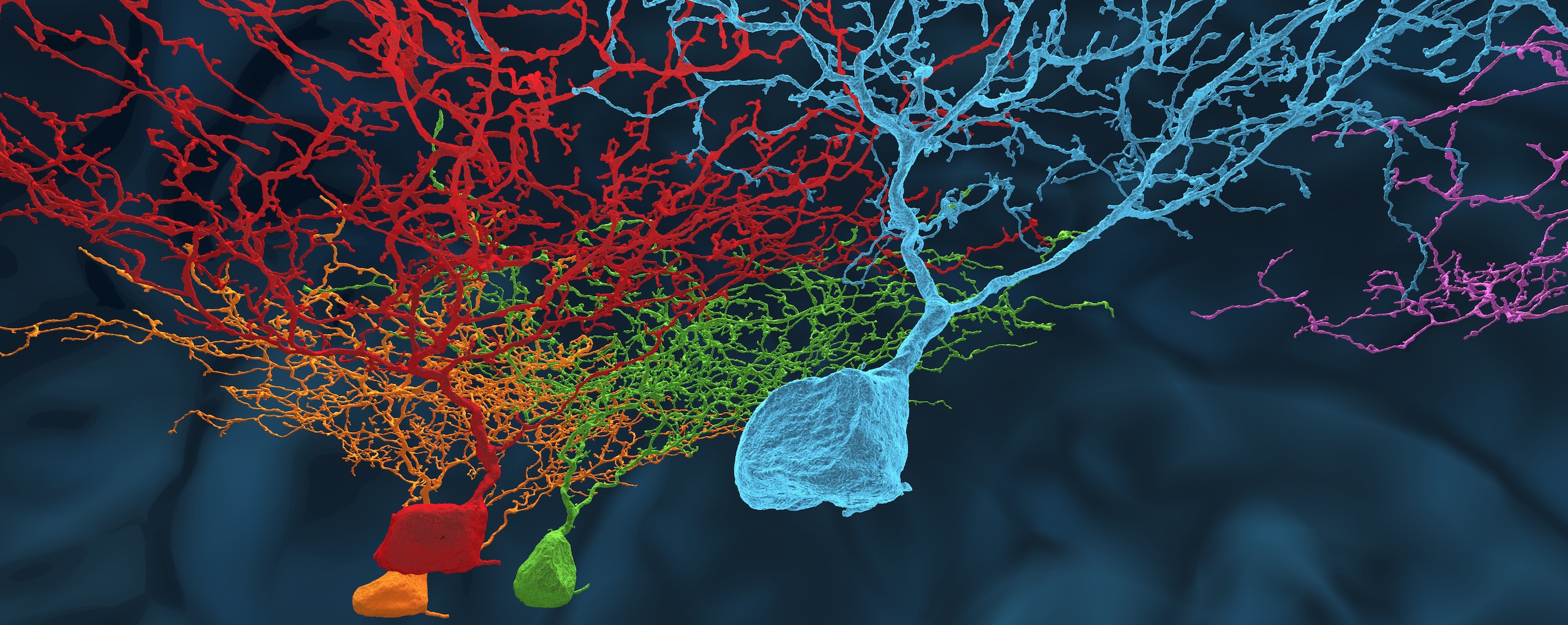 2 Years Mapping The Brain 2 Years Mapping The Brain